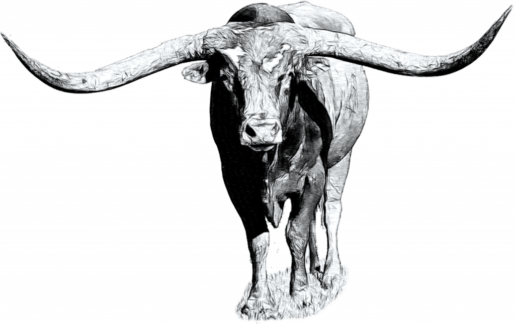sketch longhorn bull
